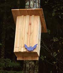 Bat House