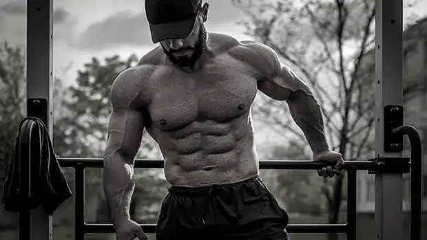 Muscle Gains